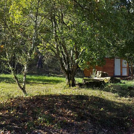 Agricampeggio Madonna Di Pogi Bucine Ruang foto