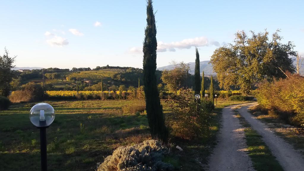 Agricampeggio Madonna Di Pogi Bucine Bagian luar foto