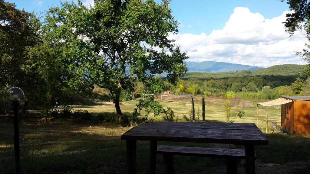 Agricampeggio Madonna Di Pogi Bucine Bagian luar foto