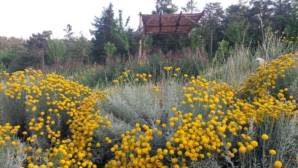 Agricampeggio Madonna Di Pogi Bucine Bagian luar foto