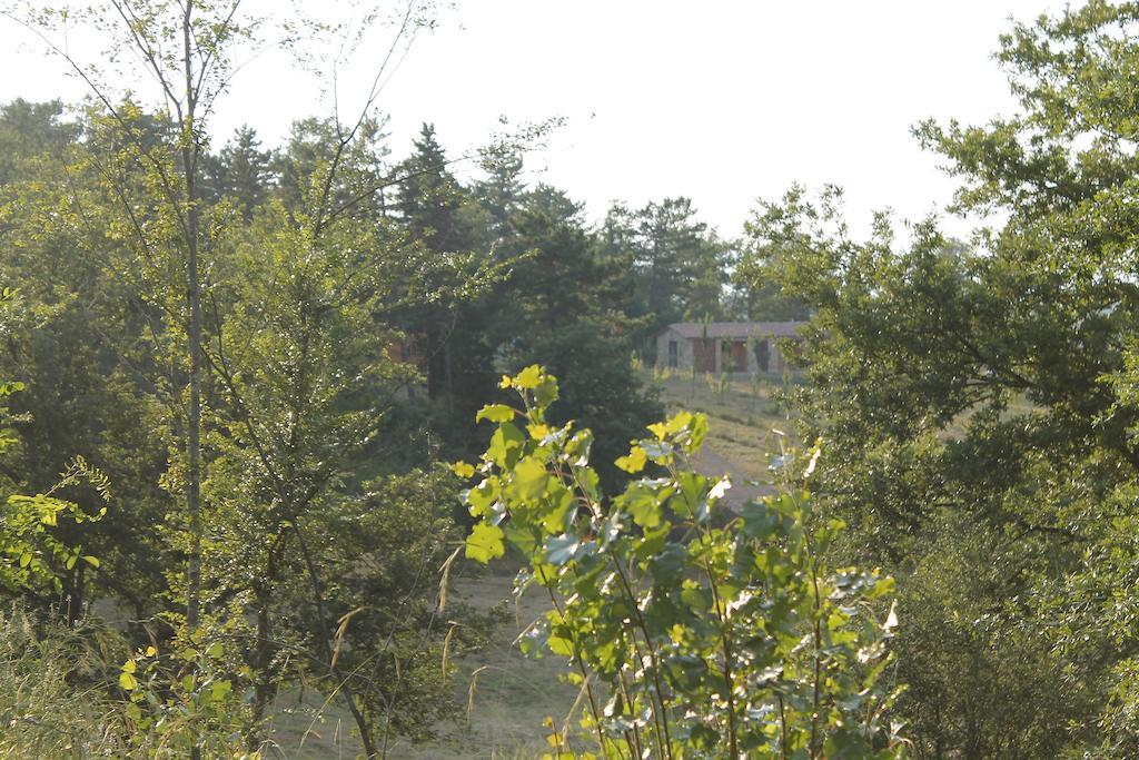 Agricampeggio Madonna Di Pogi Bucine Bagian luar foto